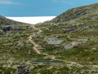 W drodze z Trolltungi